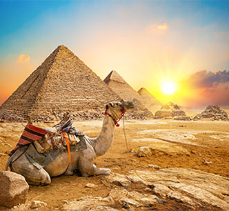 Egypt Tour