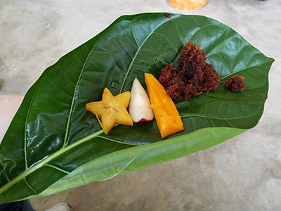 Tropical Fruit plate