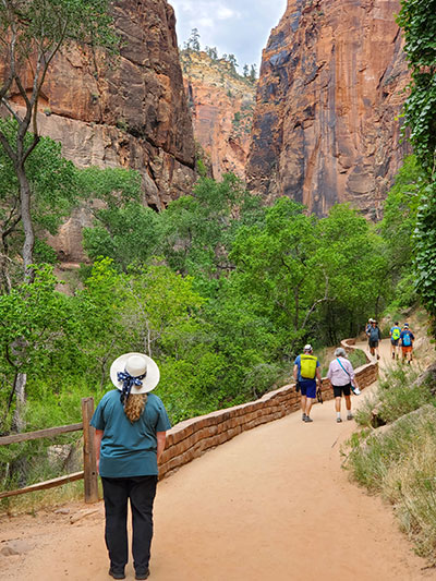 Virgin River flowing through Zion National Park’s sandstone cliffs