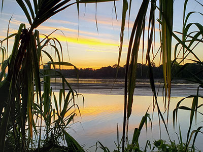 Amazon Sunset from the rain forest lodge