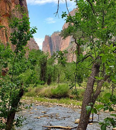 Virgin River flowing through Zion National Park’s sandstone cliffs